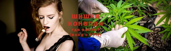сатива Армянск